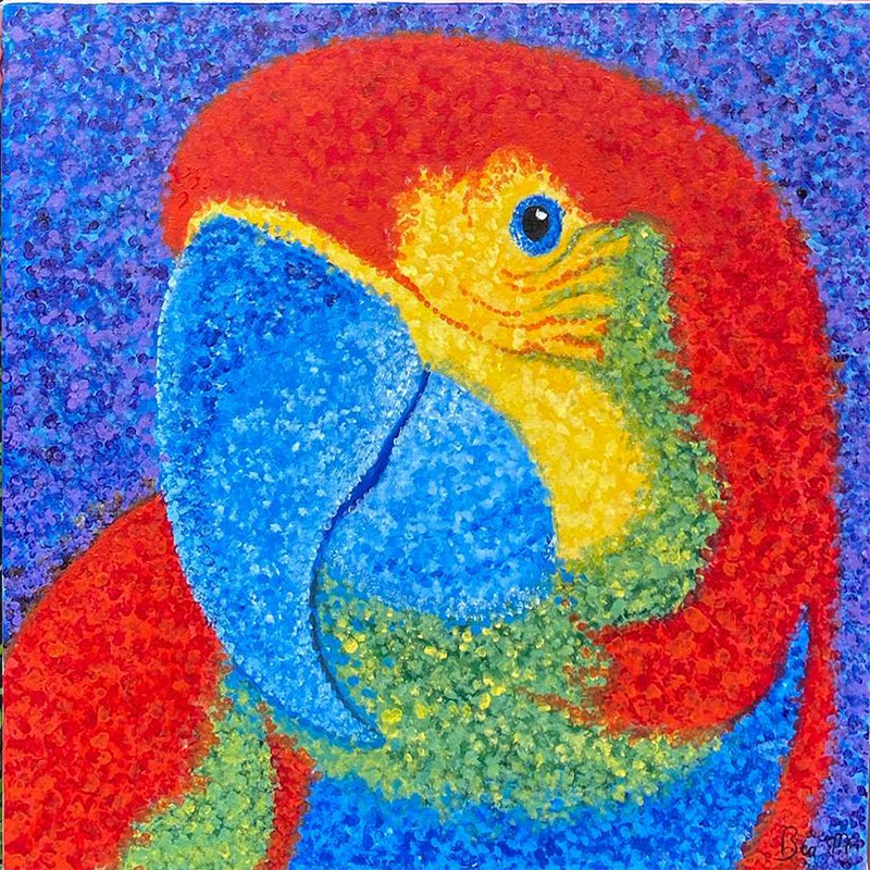 Arara - 60 x 60 - AST -2020